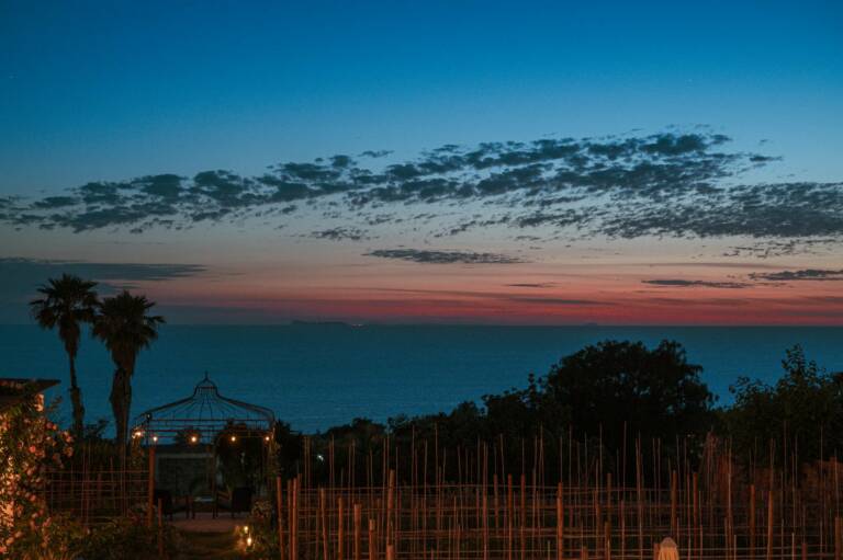 esperienze_POGGIO_ANTICO_ISCHIA_